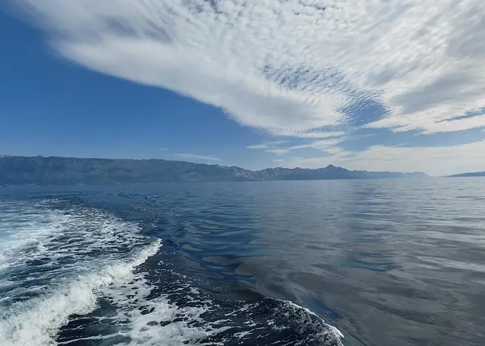 Διαμέρισμα Domina